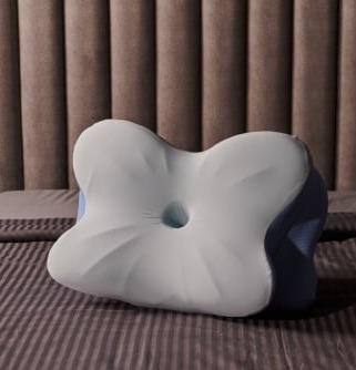 derila ergo pillow review 1